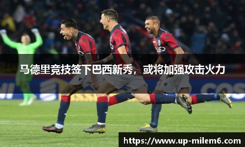 米乐体育