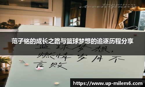米乐体育