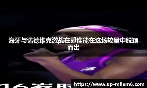 海牙与诺德维克激战在即谁能在这场较量中脱颖而出